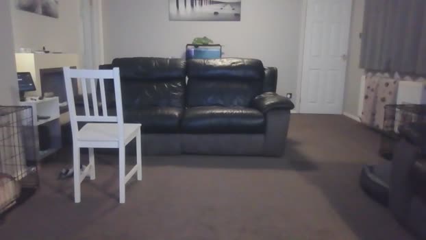 exhibitionistguy1980 11-06-2024 video big