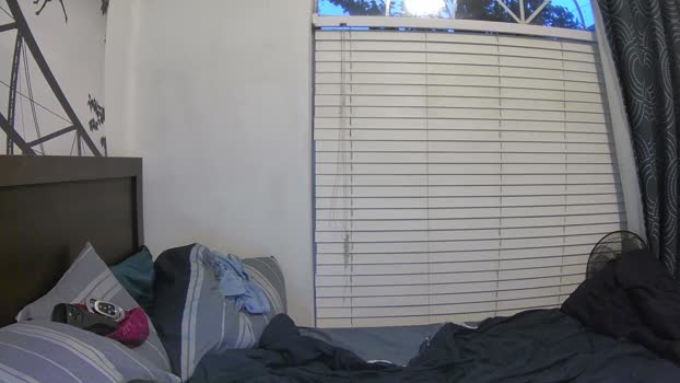 letsplayblake 11-06-2024 video fuckface