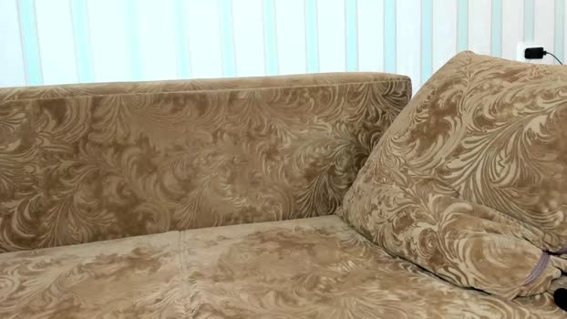 tayler_durden_1 13-06-2024 video bicurious