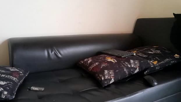 nixon347932 13-06-2024 video suckcock