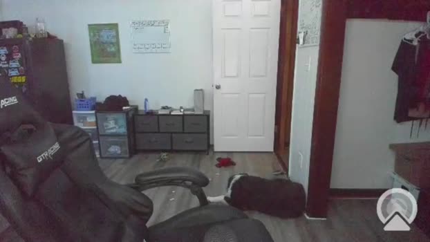 cowsgomoo101 15-06-2024 video kinky