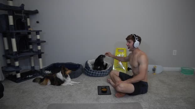 sydaffect 15-06-2024 video gay