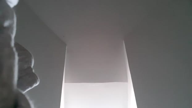 apollobest77 16-06-2024 video suck