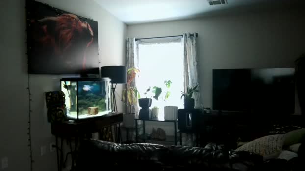 dohmerboyz 17-06-2024 video big