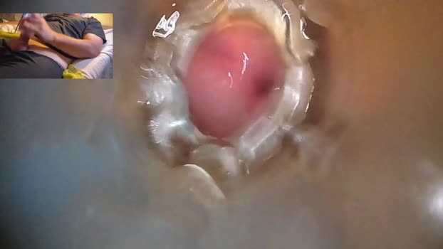 xoxowtf 21-06-2024 video handsome