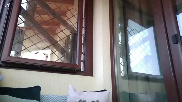 roberto_twink1 22-06-2024 video sexyfeet