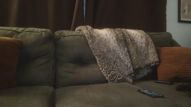 finnabun33 23-06-2024 video jerking