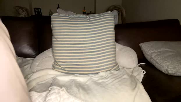 jbreezy212 23-06-2024 video toys