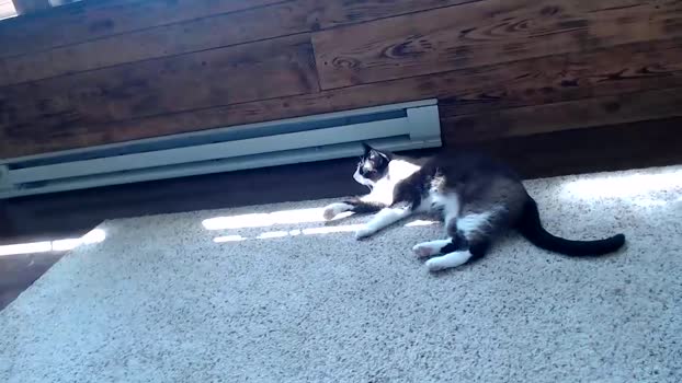 lancehardin 02-07-2024 video kiss