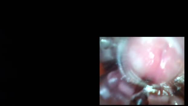 xoxowtf 03-07-2024 video kinky