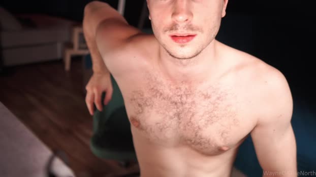 waynenorth 12-07-2024 video lovense