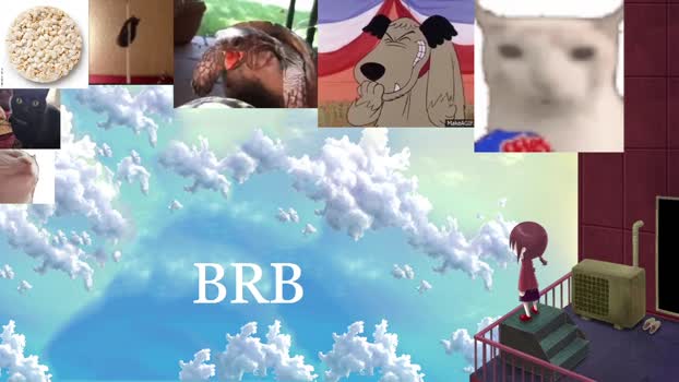 cokia_ 16-07-2024 video ass