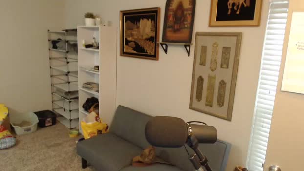 bryancavallo 20-07-2024 video Naked