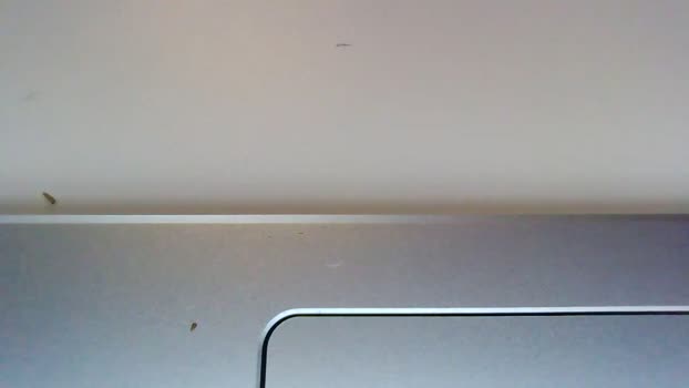 italianstallion69996 21-07-2024 video handsome