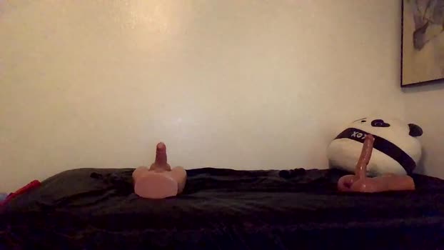 taylormade249 23-07-2024 video juicy