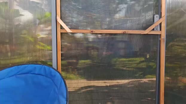 mark_boy_next_door 25-07-2024 video big