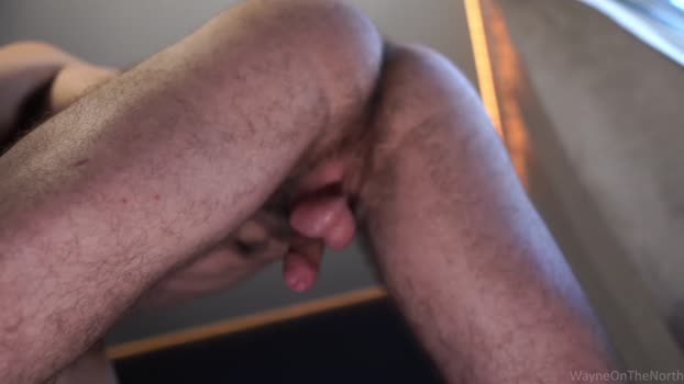 waynenorth 25-07-2024 video orgasm