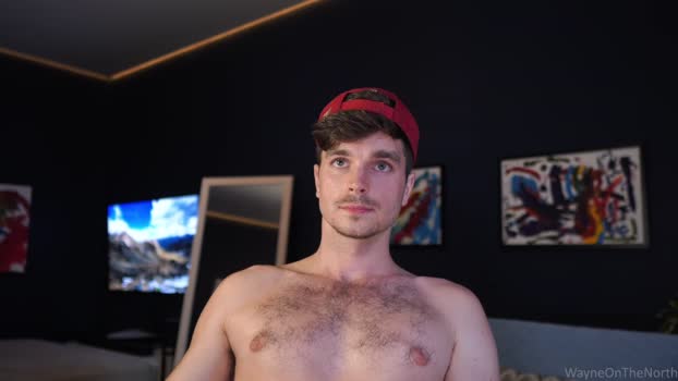 waynenorth 25-07-2024 video sweet