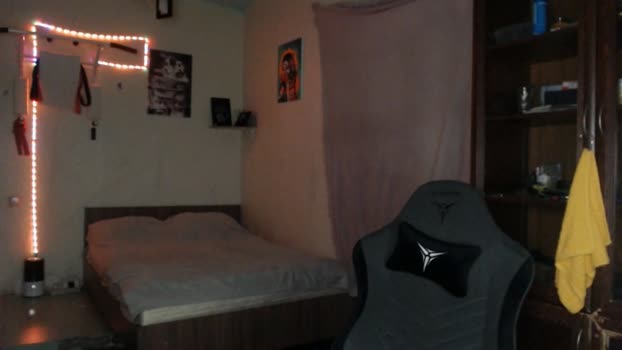 _purrari 29-07-2024 video toy