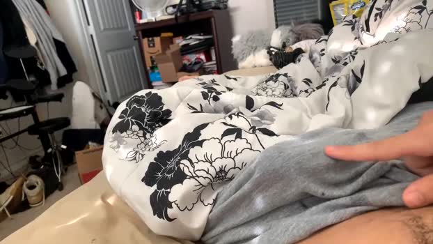 therealonexon 29-07-2024 video lovense