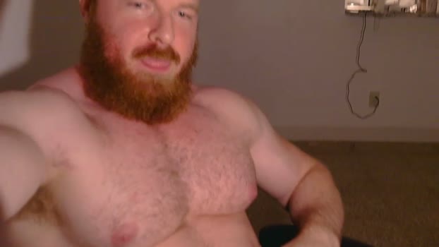 pec_inspector 30-07-2024 video big