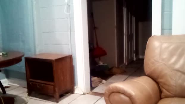 poonieboi 31-07-2024 video lovense