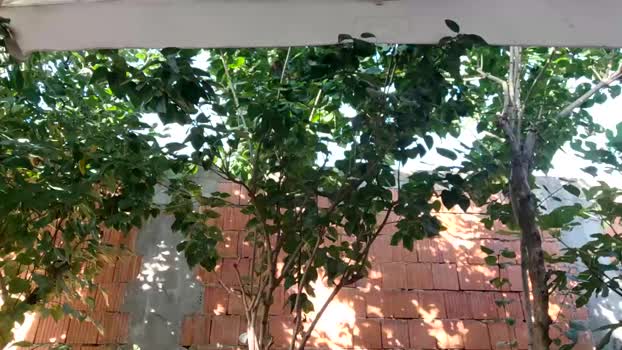 crissstud 01-08-2024 video fuckhard