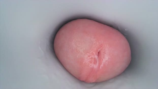 jeffrodgerschaturbat 03-08-2024 video sexykitty