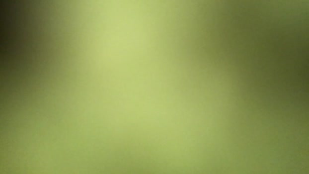 j727554 13-08-2024 video lovense