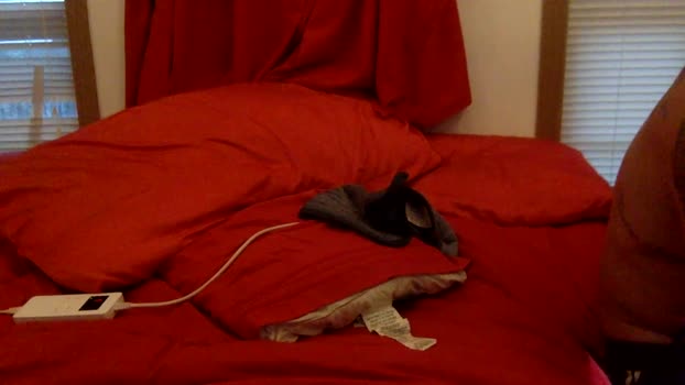 jackjohan22 24-08-2024 video sexyfeet