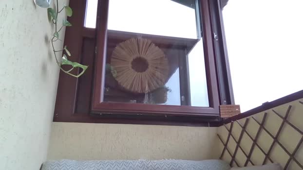 roberto_twink1 28-08-2024 video horny