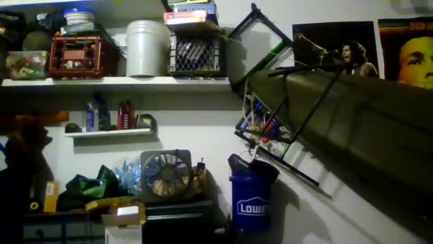 jackjohan22 29-08-2024 video sexykitty