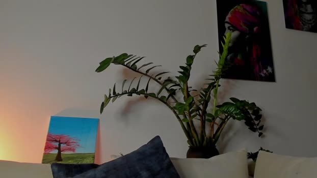 noha_miler 29-08-2024 video suckshow