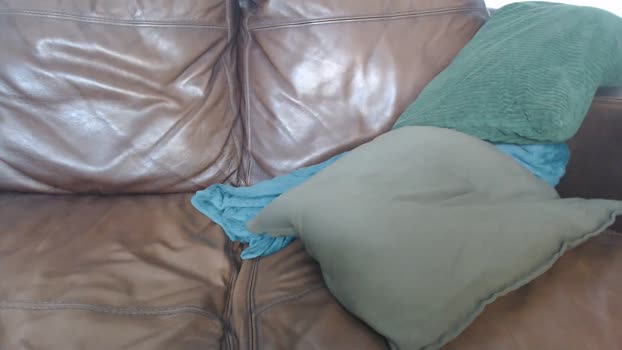 camdoattitude 30-08-2024 video ass