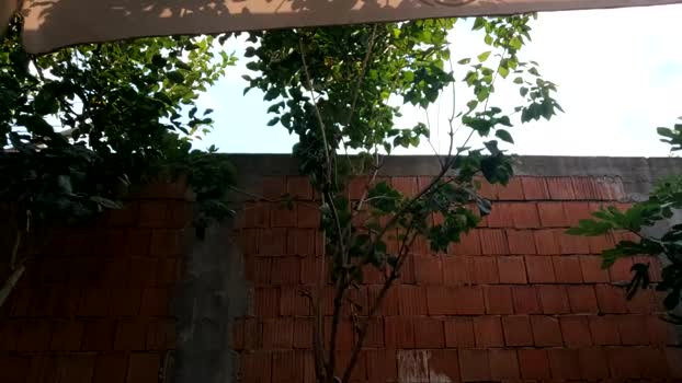 crissstud 31-08-2024 video naked