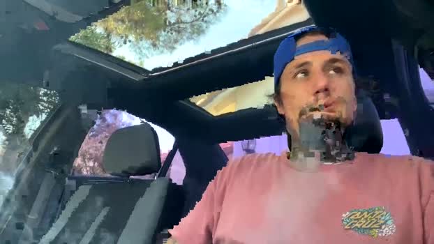 n9nature 31-08-2024 video playtime