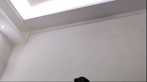 sebastianreiss 04-09-2024 video kissing