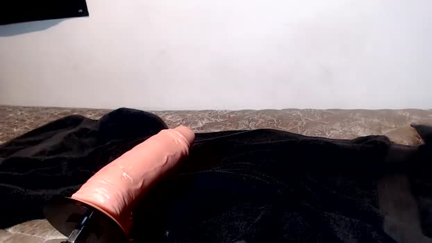 browardboy69 11-09-2024 video play