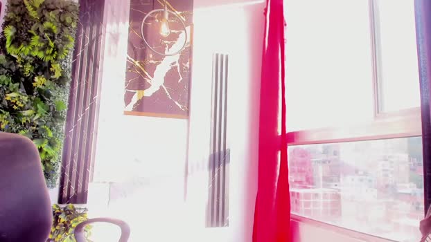 stiiveen_24cm 11-09-2024 video suckcock