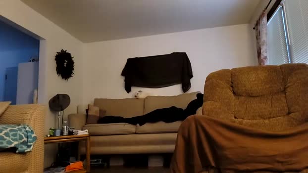 badlilbouie 13-09-2024 video ass