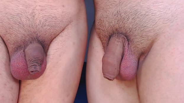 cyber_adan1 16-09-2024 video play