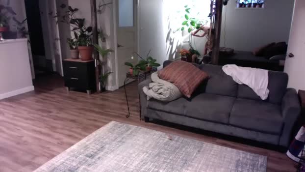 virgozach 16-09-2024 video bigballs