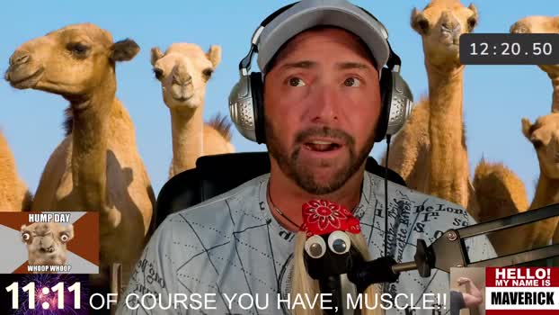 socialmaverick 19-09-2024 video toy