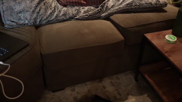 bi_collegeathlete 22-09-2024 video fuckme