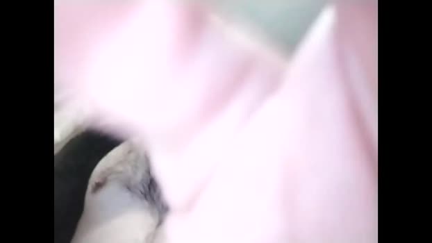 alferezzsolvajo 23-09-2024 video love