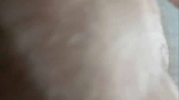 alotofcream 05-10-2024 video twink