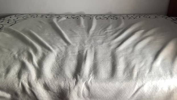 bestdick1991 09-10-2024 video blowjob