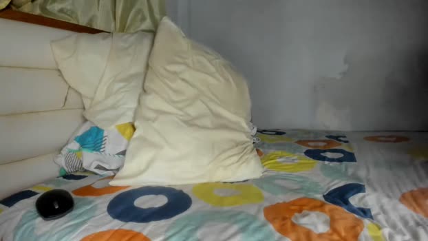 austin1119a 12-10-2024 video fingers