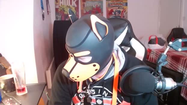 pupdion 12-10-2024 video orgasm