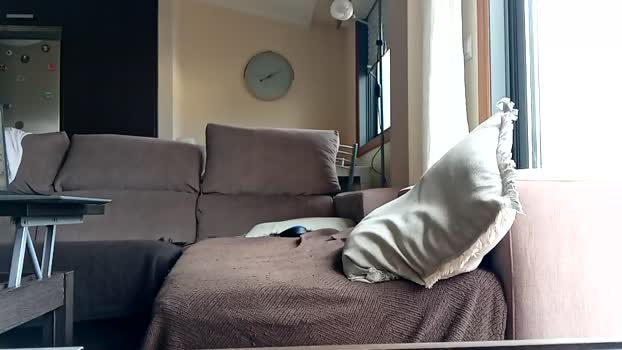 pablomller 13-10-2024 video big